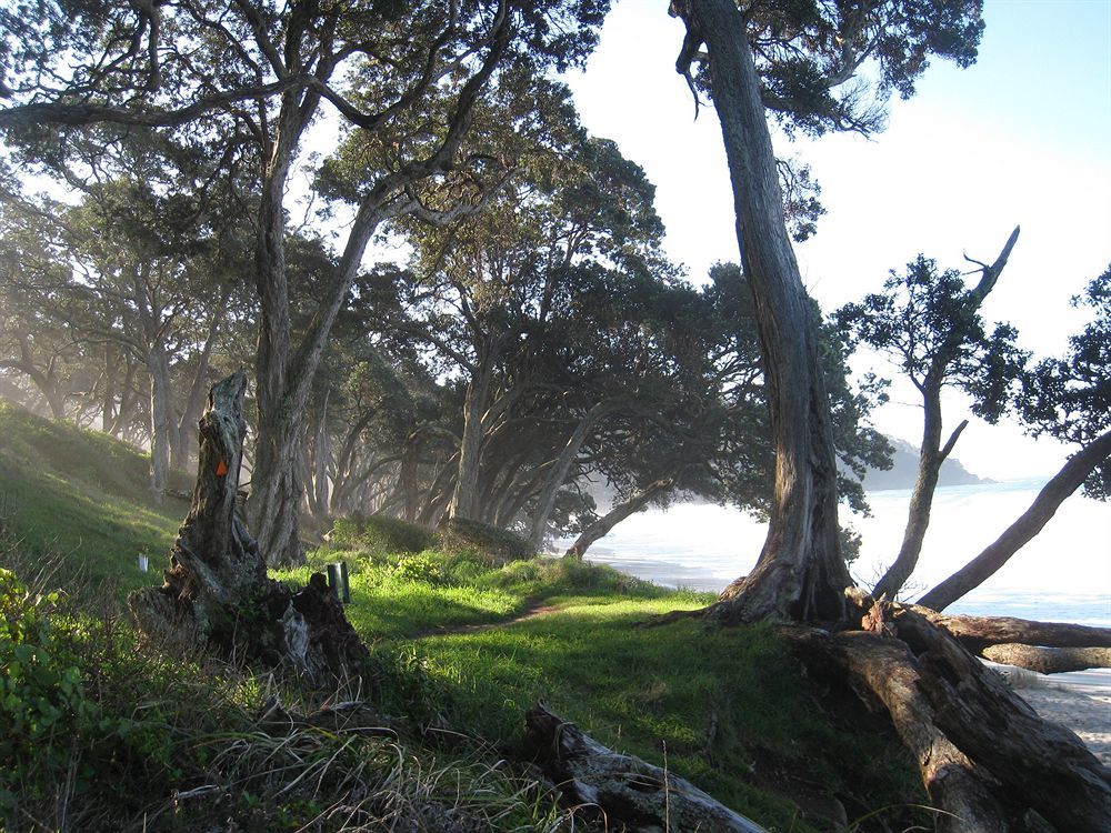 Kaimai Country Lodge Katikati Εξωτερικό φωτογραφία